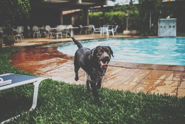 How to Keep Your Pool Safe from Electrical Hazards